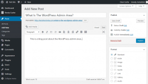 Wordpress Admin Panel Screenshot